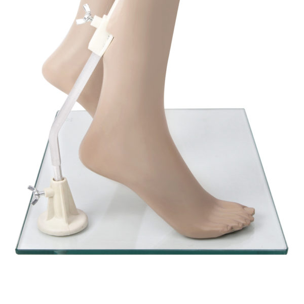 175cm Tall Full Body Female Mannequin Skin Coloured The Mannequin Shop